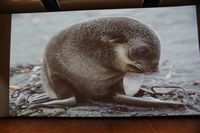 
DSC00203